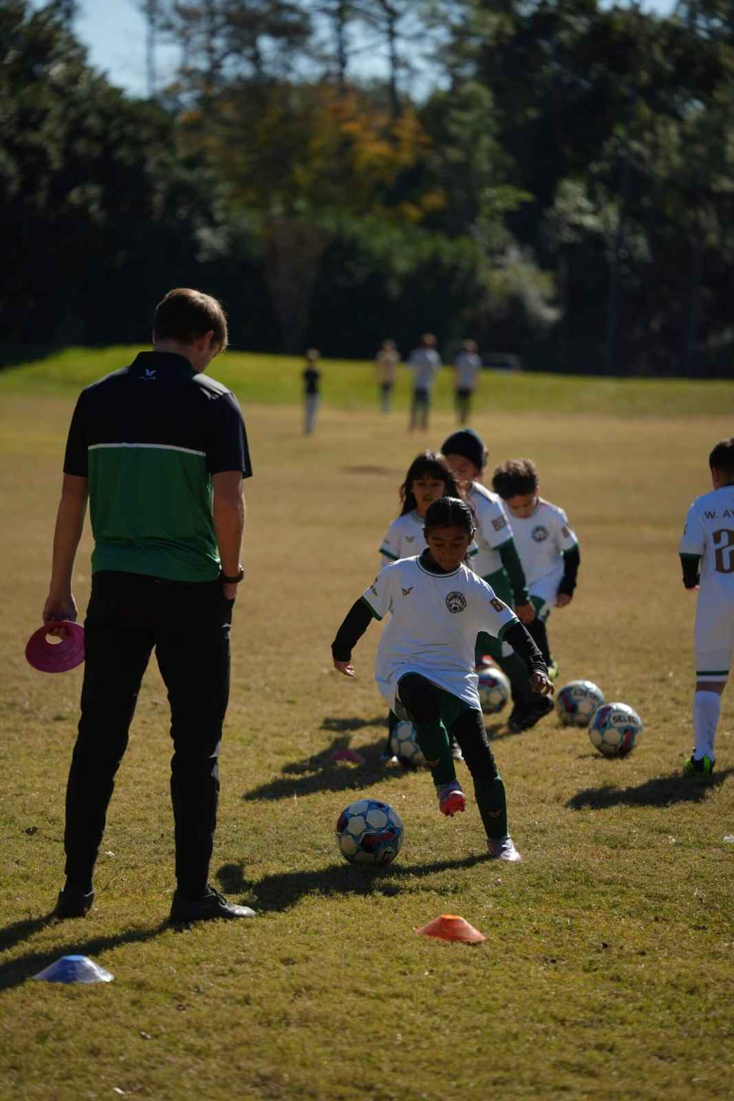 A-_BOLD_-Difference-scaled