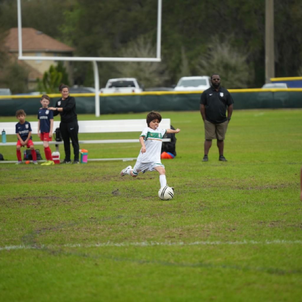 Pre-Competitive image