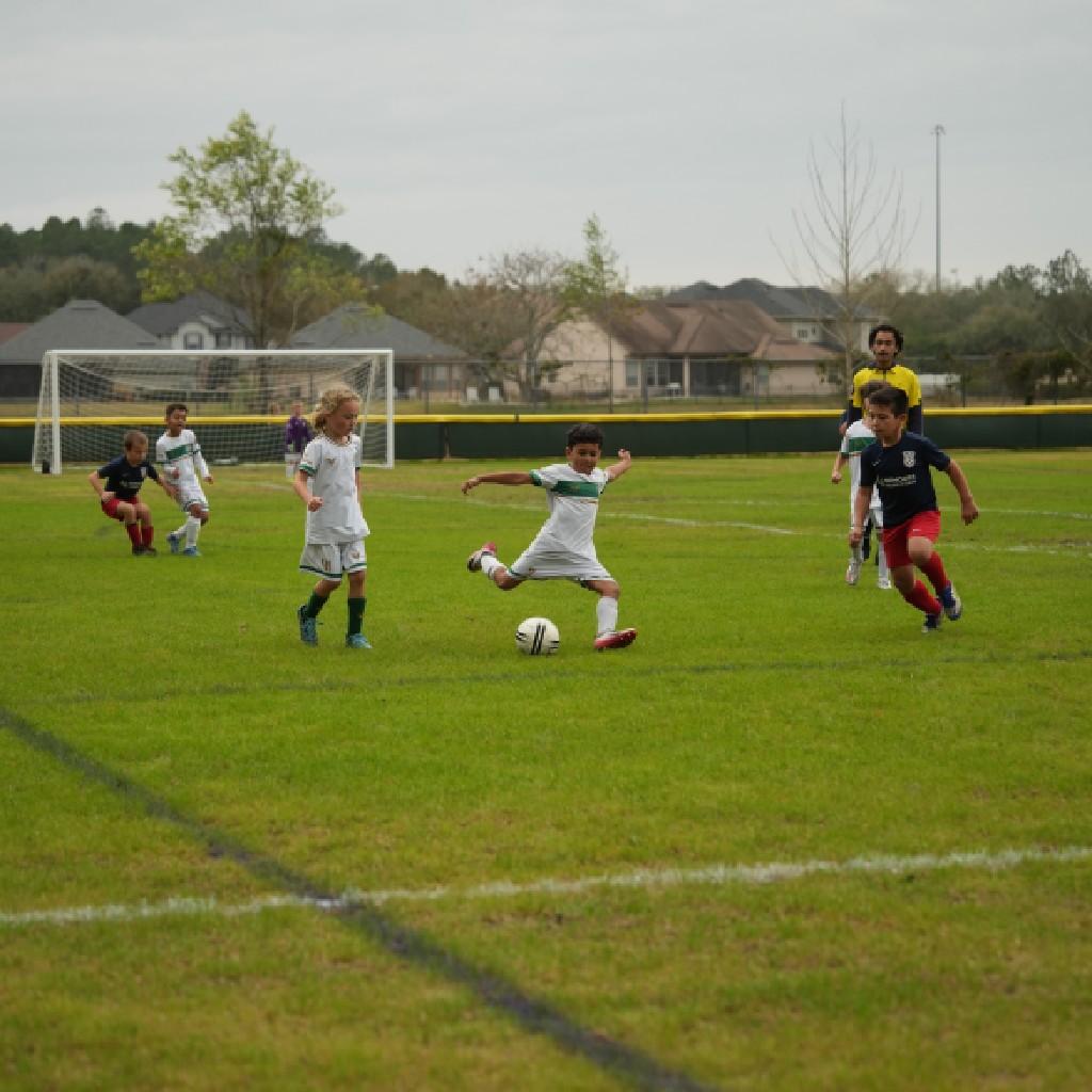 Pre-Competitive image