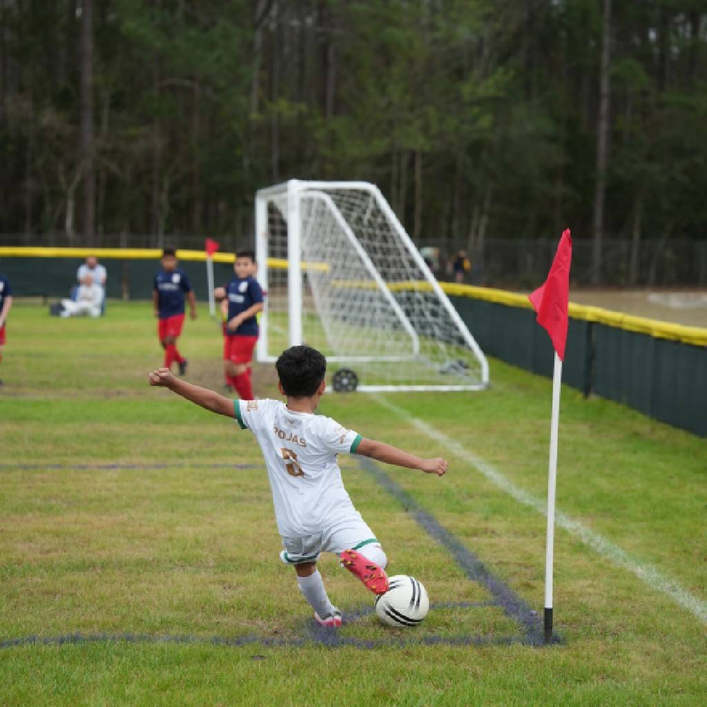 Pre-Competitive image