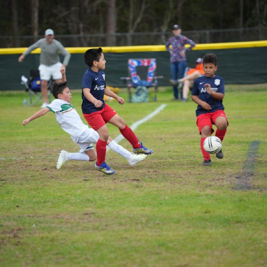 Pre-Competitive image