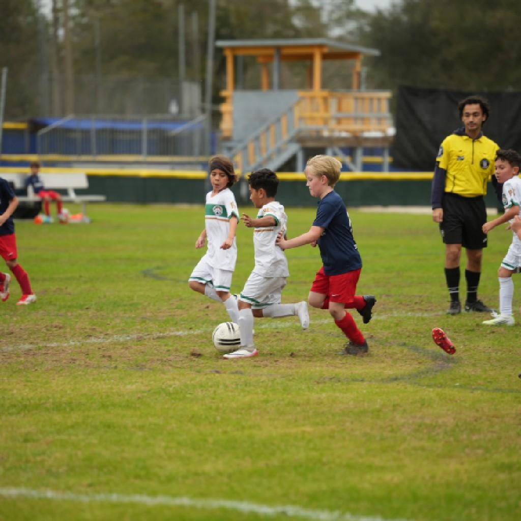 Pre-Competitive image